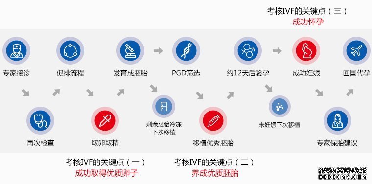 试管婴儿成功率